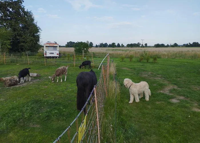 Ddr Wohnwagen Heimstolz Wefelinger *